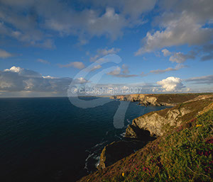 %_tempFileNameL1693LTrevCliffs%