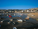 %_tempFileNameL1698LMORNINGSTIVES%