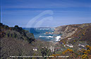 %_tempFileNameM4538aLStAgnes%