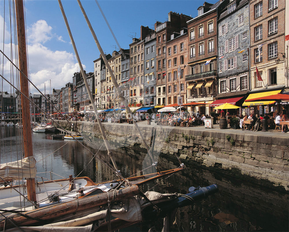 %_tempFileNameFRM4166BLHONFLEUR%