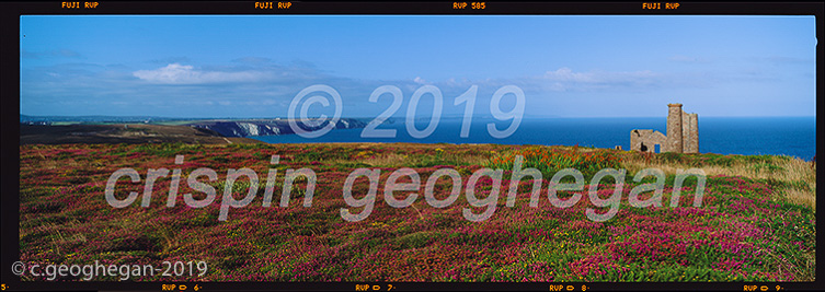 Heritage and Heather, Wheal Coates, St Agnes