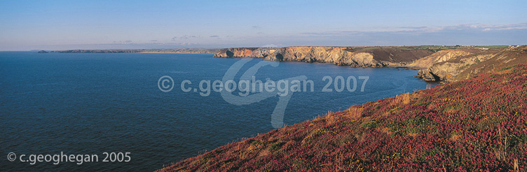 Heather Panorama Trevaunance Bay 