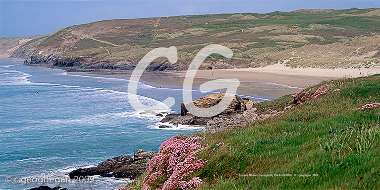 Summer Flowers, Perranporth