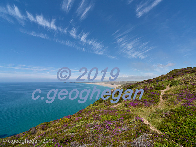 Summer Heather and a view over Perranorth Bay