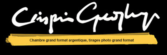 Crispin Geoghegan, photographe grand format